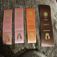 Alaska, a female Poodle - Toy  for sale in Wayne, WV – Photo 3 of 10