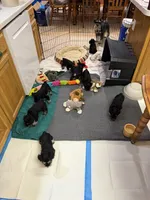 Facility photo