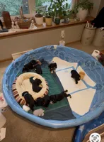 Facility photo