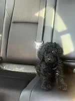 processed/222bdc1e-9d68-4d22-8b3d-0e54c9e79ee6/listing/976eb2b3-e455-4595-be23-571ddd8f99f3/47d5bfe3-4942-44b8-bfc1-2a50cea91cbd