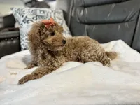 processed/222d0ef2-3135-488f-a202-6e8cd05ccfa0/listing/42c975c9-098b-44da-a4a8-55f865fc5bde/0b609dbb-22a8-4dce-a5f6-769b019132e3