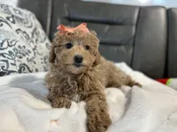 processed/222d0ef2-3135-488f-a202-6e8cd05ccfa0/listing/42c975c9-098b-44da-a4a8-55f865fc5bde/38709a89-3da9-4ed9-af34-f54d0ceb0888