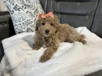 processed/222d0ef2-3135-488f-a202-6e8cd05ccfa0/listing/42c975c9-098b-44da-a4a8-55f865fc5bde/a4210a94-ae6f-42eb-87f8-816611f0fe22