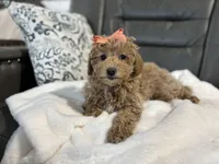 processed/222d0ef2-3135-488f-a202-6e8cd05ccfa0/listing/42c975c9-098b-44da-a4a8-55f865fc5bde/c1ff362b-2440-4125-963d-b4a966ddb8d9