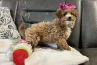 processed/222d0ef2-3135-488f-a202-6e8cd05ccfa0/listing/53223658-9230-4ac5-97ac-0be3db166d84/94b94e5a-4b4a-4c52-97ea-c3ccea721ab3