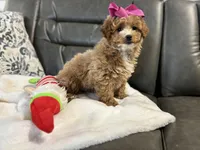 processed/222d0ef2-3135-488f-a202-6e8cd05ccfa0/listing/53223658-9230-4ac5-97ac-0be3db166d84/e877cfe9-39b2-4580-8234-48ffe55a624c