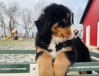 processed/222d0ef2-3135-488f-a202-6e8cd05ccfa0/listing/63b8d2bf-4044-4a26-9ef1-2b15a65c520b/6403a85b-948c-4b41-8685-c4be3075b01f