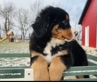 processed/222d0ef2-3135-488f-a202-6e8cd05ccfa0/listing/63b8d2bf-4044-4a26-9ef1-2b15a65c520b/aa94f0eb-1b3e-43e7-9c8e-d507cac83501