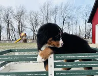 processed/222d0ef2-3135-488f-a202-6e8cd05ccfa0/listing/63b8d2bf-4044-4a26-9ef1-2b15a65c520b/d46a2582-dfb8-4bb4-b2a8-a0d8b7f6a686