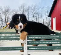 processed/222d0ef2-3135-488f-a202-6e8cd05ccfa0/listing/63b8d2bf-4044-4a26-9ef1-2b15a65c520b/ed321dc4-fa1d-4a3e-aa91-32e414d23b47