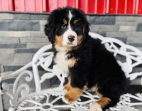 processed/222d0ef2-3135-488f-a202-6e8cd05ccfa0/listing/a2b79130-8403-4e55-9819-49de507e5117/11434bff-060e-4e0a-8c1f-34f20f4d2cd3