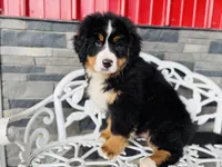 processed/222d0ef2-3135-488f-a202-6e8cd05ccfa0/listing/a2b79130-8403-4e55-9819-49de507e5117/8c5835ef-ed67-4240-b989-25eb12d4ee36