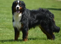 processed/222d0ef2-3135-488f-a202-6e8cd05ccfa0/listing/a2b79130-8403-4e55-9819-49de507e5117/8effb507-513b-4854-801e-624671d38eed