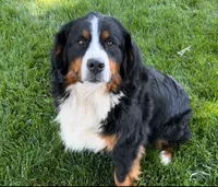 processed/222d0ef2-3135-488f-a202-6e8cd05ccfa0/listing/a2b79130-8403-4e55-9819-49de507e5117/ad9570ff-4546-4247-863f-1b2f1bc70cbb