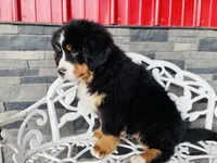 processed/222d0ef2-3135-488f-a202-6e8cd05ccfa0/listing/a2b79130-8403-4e55-9819-49de507e5117/ef54734b-4d6e-400a-afda-01b277ee6a54