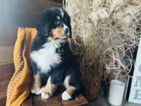 processed/222d0ef2-3135-488f-a202-6e8cd05ccfa0/listing/ac198b70-de31-4d8c-b6d9-580bc44bf978/59c854bf-d474-465b-9357-12e8af7ea822