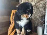 processed/222d0ef2-3135-488f-a202-6e8cd05ccfa0/listing/ac198b70-de31-4d8c-b6d9-580bc44bf978/5d35632a-86a9-4dbc-a017-0c5446c91df6