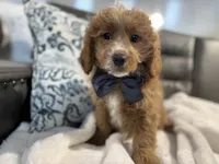 processed/222d0ef2-3135-488f-a202-6e8cd05ccfa0/listing/d23b0dbb-9902-4bf1-9fcf-74cf794a2a28/9ef637b3-3bc6-4c4c-ab69-c0a0194da9b3