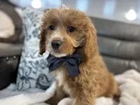 processed/222d0ef2-3135-488f-a202-6e8cd05ccfa0/listing/d23b0dbb-9902-4bf1-9fcf-74cf794a2a28/ae658b87-b7ad-41d7-a505-74958300bd7c