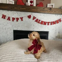 processed/222de05d-5564-42e4-b9b2-e3b540110408/listing/1a6e2ea2-9334-46a8-97d8-0627fb6e6bc8/6ee80d59-f36c-4ecb-b14a-08b082ac8c1c