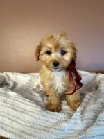 processed/222de05d-5564-42e4-b9b2-e3b540110408/listing/1a6e2ea2-9334-46a8-97d8-0627fb6e6bc8/de45136f-7a49-4498-828f-8d09ab8c8637