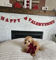 processed/222de05d-5564-42e4-b9b2-e3b540110408/listing/1a6e2ea2-9334-46a8-97d8-0627fb6e6bc8/e2787b2c-de8e-488e-9da3-4c4904da7902