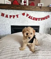 processed/222de05d-5564-42e4-b9b2-e3b540110408/listing/249c6fcd-6b26-44a5-924b-0dc35004b4a7/6aca6b16-b5b9-47bb-b499-ff112fd8b569