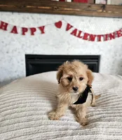 processed/222de05d-5564-42e4-b9b2-e3b540110408/listing/249c6fcd-6b26-44a5-924b-0dc35004b4a7/a4f92fe4-ad49-45f3-920e-e124d31c41a1