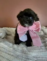 processed/222de05d-5564-42e4-b9b2-e3b540110408/listing/83f0b8d1-d937-464b-aa3b-10a1bd49f3cd/6a441dbb-9224-4acb-80b2-ffd7490afef0