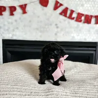 processed/222de05d-5564-42e4-b9b2-e3b540110408/listing/83f0b8d1-d937-464b-aa3b-10a1bd49f3cd/bf7b3f8b-b385-4dd1-aec8-f8f0ef811555