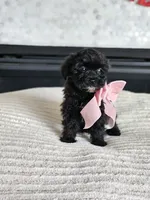 processed/222de05d-5564-42e4-b9b2-e3b540110408/listing/83f0b8d1-d937-464b-aa3b-10a1bd49f3cd/d1eb5f72-ac04-4381-b5f5-6ac4cff81475