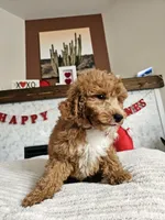 processed/222de05d-5564-42e4-b9b2-e3b540110408/listing/ab80e76b-0986-4cde-9d01-efb59fcbd704/035fd4f4-46fd-45cd-a666-1ce1449a18a0