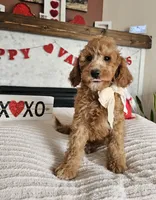 processed/222de05d-5564-42e4-b9b2-e3b540110408/listing/ab80e76b-0986-4cde-9d01-efb59fcbd704/9ba61386-e821-41fe-8ea5-25c20424ed2d