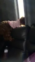 Summer, a female Cockapoo for sale in Sylacauga, AL – 2 of 6