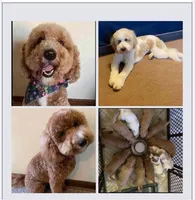 processed/2244bbf2-dca9-4a7e-9fc6-66c333633a55/facility/2741a5c6-1a78-457a-b797-7d6e7c04151f