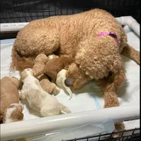 processed/2244bbf2-dca9-4a7e-9fc6-66c333633a55/facility/763fb811-44e0-4f48-a5cf-335903e0e344