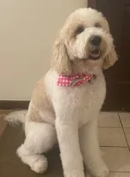 processed/2244bbf2-dca9-4a7e-9fc6-66c333633a55/facility/968cb036-07e4-44fc-b0a1-9e24e3cbf345