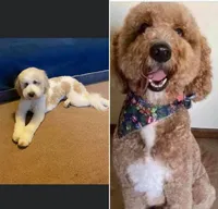 processed/2244bbf2-dca9-4a7e-9fc6-66c333633a55/facility/db7967aa-0995-467e-ae2d-9b1bbd6159ed