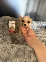 processed/22480b1f-bc6a-46c5-a380-70a7b8b46837/listing/22782101-9878-466f-a315-02374f5eff75/136c4453-bfb1-4589-b404-bd064cbdf3ea