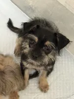 processed/22480b1f-bc6a-46c5-a380-70a7b8b46837/listing/228f2d0a-92c8-4678-8bf2-999c989f3f25/4a39ba06-64fa-4d8f-bf5c-572164f1b7cc