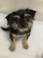 processed/22480b1f-bc6a-46c5-a380-70a7b8b46837/listing/228f2d0a-92c8-4678-8bf2-999c989f3f25/d6941de9-c89c-4569-808b-cae1ab4c9a6a