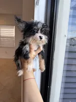 processed/22480b1f-bc6a-46c5-a380-70a7b8b46837/listing/d613fe76-61dc-4f31-8347-aae8c693dd1d/6ff4feec-bd36-466d-a604-03c7c3bf26f5