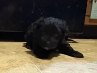 processed/2253f8aa-06e8-4cfc-a4ac-b91da4f466c1/listing/40dae088-3cd8-4fd2-af95-dc1056357b87/0d56eabb-4aff-461e-85d3-021f7962e3ad