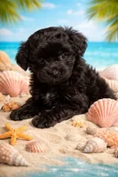 processed/2253f8aa-06e8-4cfc-a4ac-b91da4f466c1/listing/40dae088-3cd8-4fd2-af95-dc1056357b87/2b734d47-ffec-487b-8b96-da8490d719d1