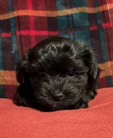 processed/2253f8aa-06e8-4cfc-a4ac-b91da4f466c1/listing/40dae088-3cd8-4fd2-af95-dc1056357b87/41aa6928-1cb4-4329-b11e-2178af4c57f9