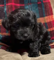 processed/2253f8aa-06e8-4cfc-a4ac-b91da4f466c1/listing/40dae088-3cd8-4fd2-af95-dc1056357b87/7790ed4f-d7a1-4dbc-a554-db418debf95a