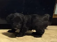 processed/2253f8aa-06e8-4cfc-a4ac-b91da4f466c1/listing/40dae088-3cd8-4fd2-af95-dc1056357b87/83f5693e-7748-41a4-abf3-59e640de192f