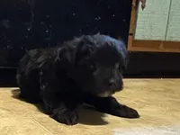 processed/2253f8aa-06e8-4cfc-a4ac-b91da4f466c1/listing/40dae088-3cd8-4fd2-af95-dc1056357b87/deecfb05-acfc-4bd9-bc93-516a24902344