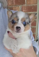 processed/2261aeec-a9f5-4654-ae77-aa732292b205/listing/2b24944a-edb9-47f9-9c35-0a4e23cbf865/7a4e4184-4e06-4e44-8b6a-7a4f20f43d6e