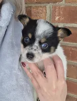 processed/2261aeec-a9f5-4654-ae77-aa732292b205/listing/5156a831-1e42-4688-9e2e-4e56b8432c14/133bb024-862f-41ec-b64f-301582fdb773